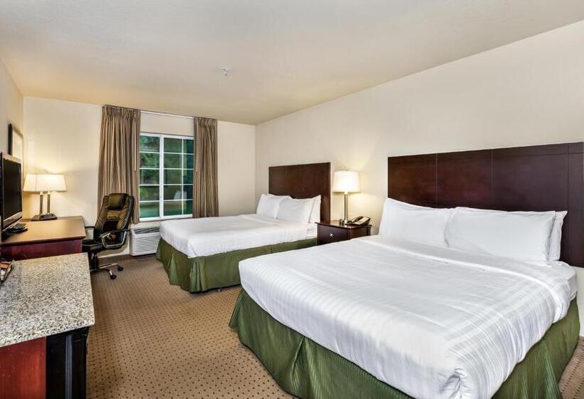 Номер Стандарт Кровать Кинг Адаптированный для Инвалидов, Cobblestone Inn & Suites   Vinton, Ia