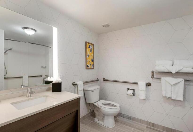 장애인을 위한 킹사이즈 침대 스탠다드 룸, Comfort Inn & Suites Hampton Near Coliseum