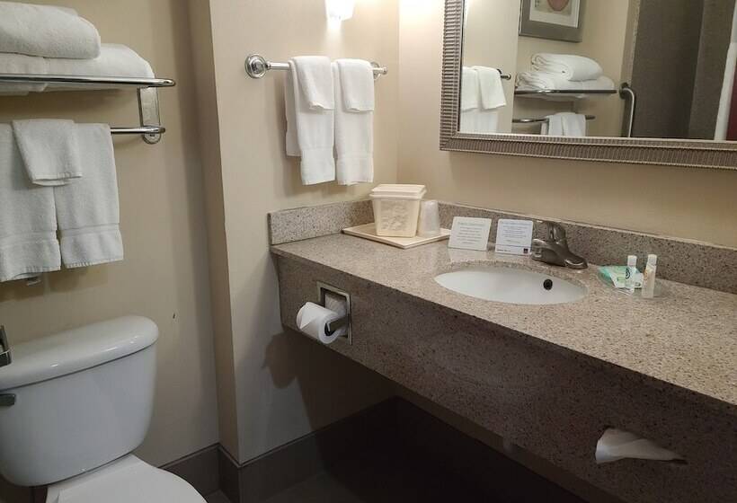 스위트, Comfort Suites Forsyth Near I75