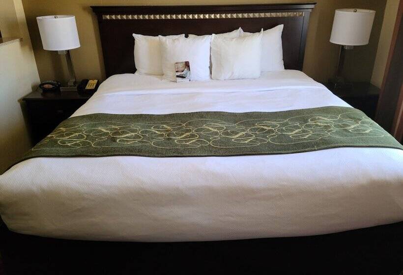 장애인을 위한 스위트, Comfort Suites Forsyth Near I75