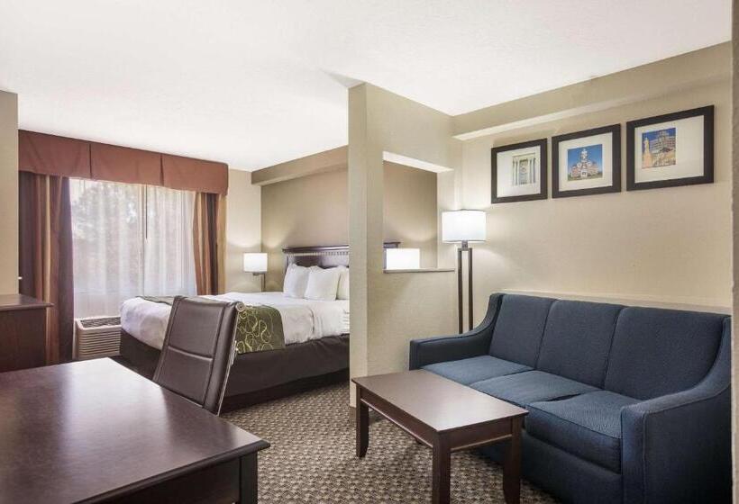 스위트 킹사이즈 침대, Comfort Suites Forsyth Near I75