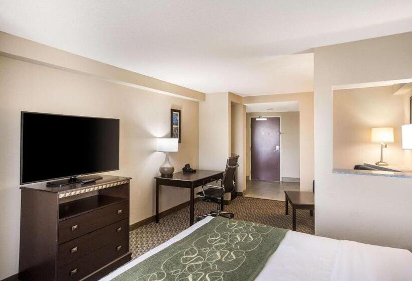 스위트 킹사이즈 침대, Comfort Suites Forsyth Near I75