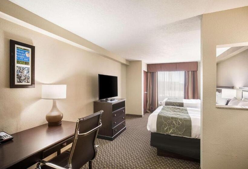 스위트, Comfort Suites Forsyth Near I75