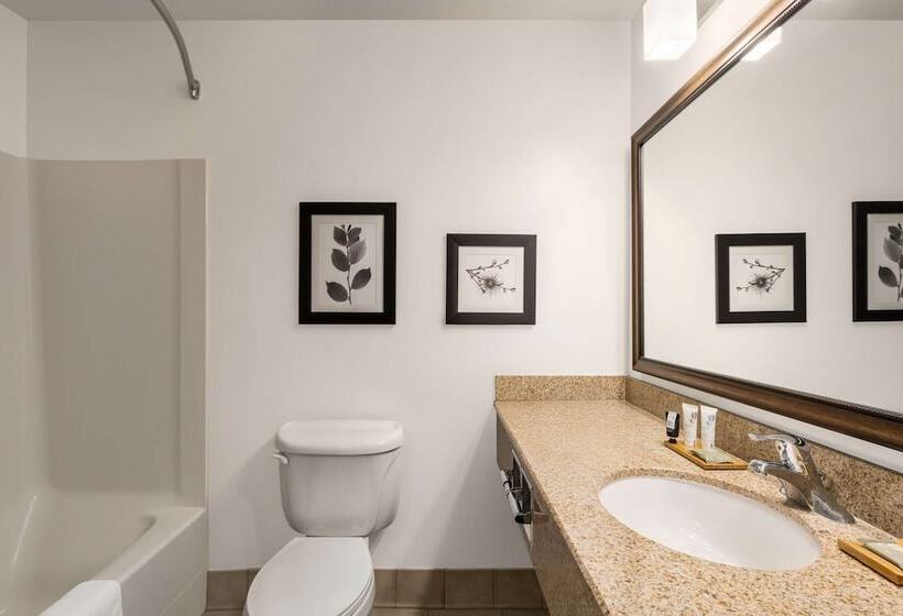 자쿠지 스위트, Country Inn & Suites By Radisson, Boise West   Meridian