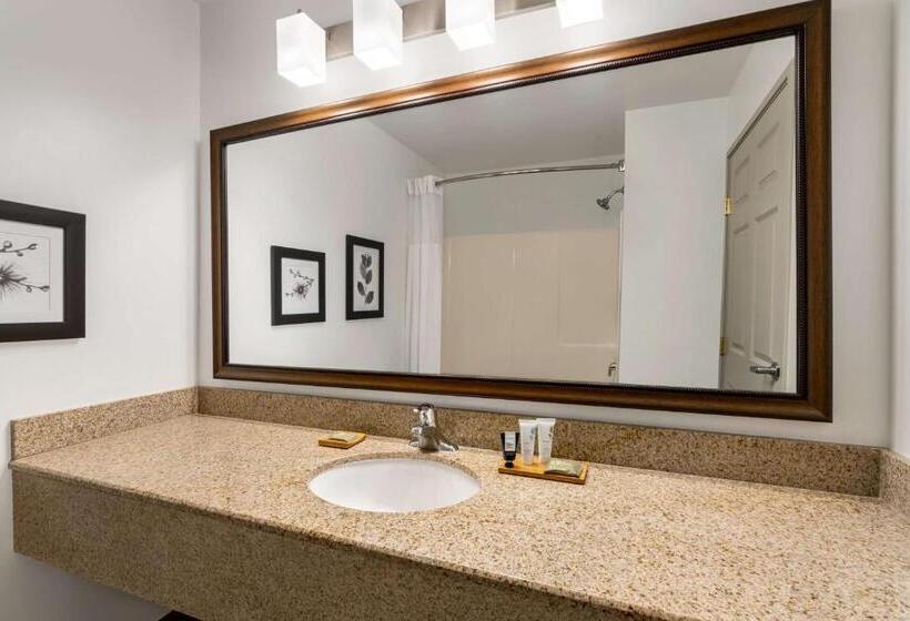 스위트 킹사이즈 침대, Country Inn & Suites By Radisson, Boise West   Meridian