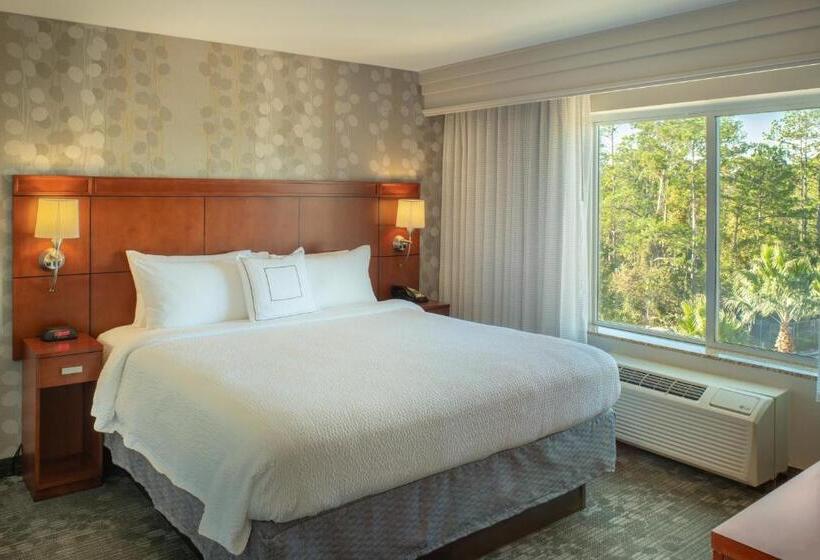 장애인을 위한 스탠다드 룸, Courtyard Jacksonville Orange Park