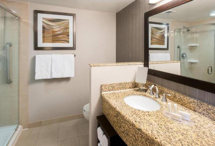 장애인을 위한 킹사이즈 침대 스탠다드 룸, Courtyard Jacksonville Orange Park