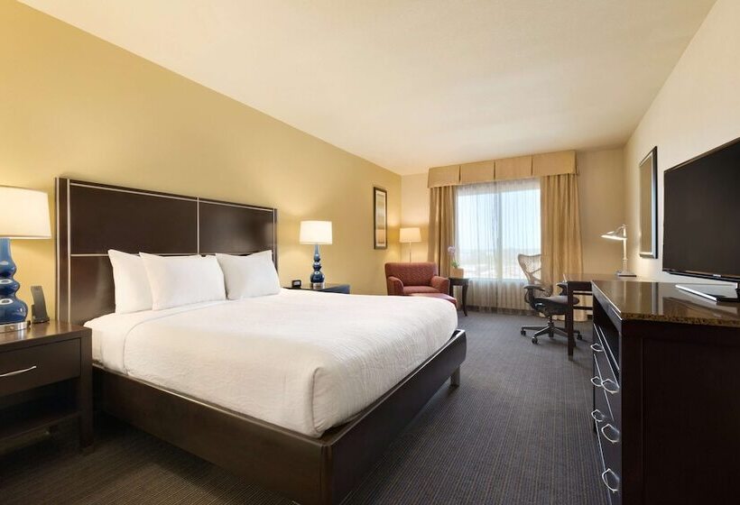 اتاق استاندارد, Hilton Garden Inn Houston Nw America Plaza