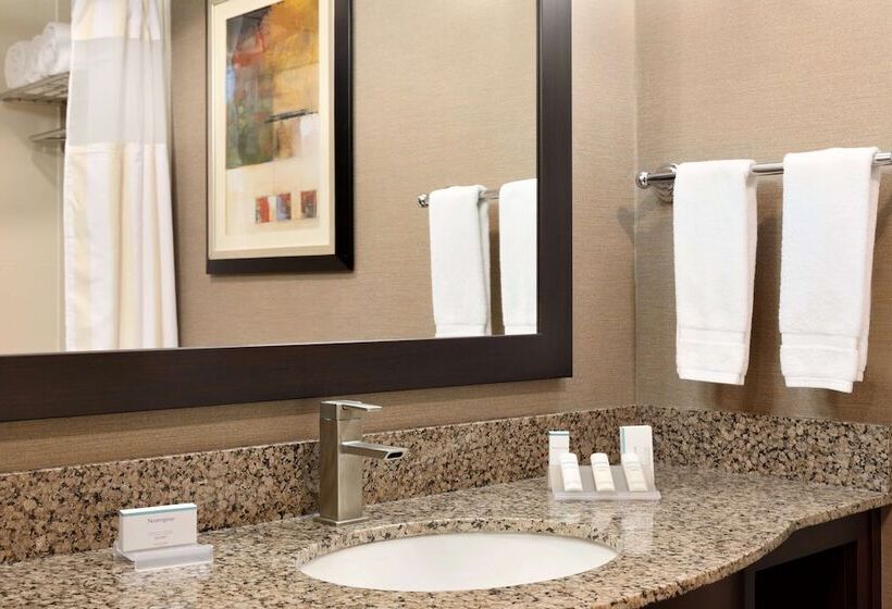 اتاق استاندارد برای معلولان, Hilton Garden Inn Houston Nw America Plaza