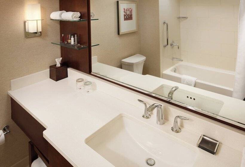 带城市景观的优质房间, Milwaukee Marriott Downtown