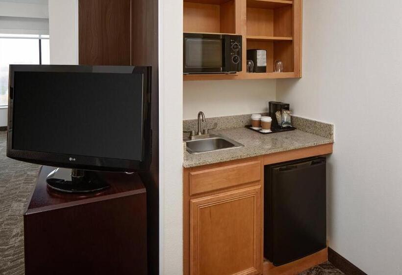 스위트 킹사이즈 침대, Springhill Suites By Marriott Ardmore