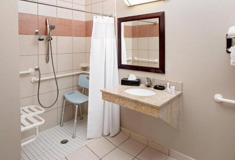 스위트, Springhill Suites By Marriott Ardmore