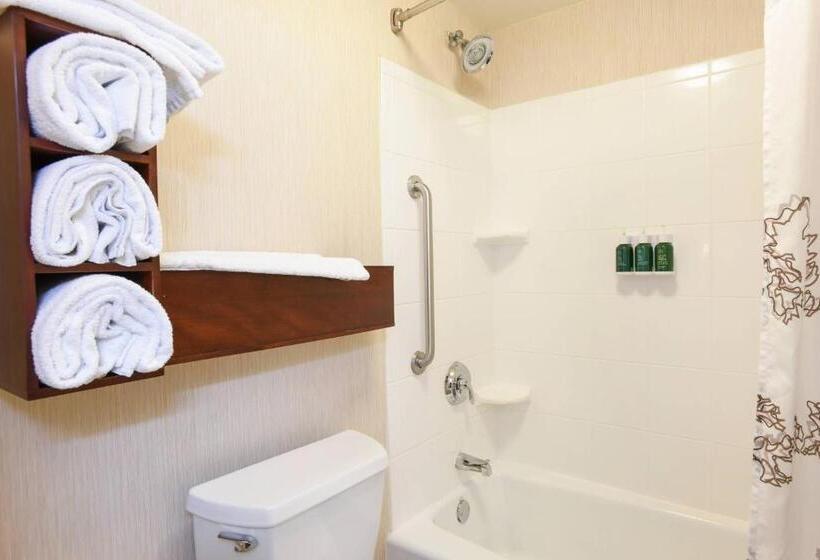 Люкс, Residence Inn Cincinnati North West Chester