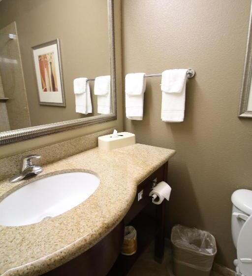Номер Стандарт, Seffner Inn And Suites