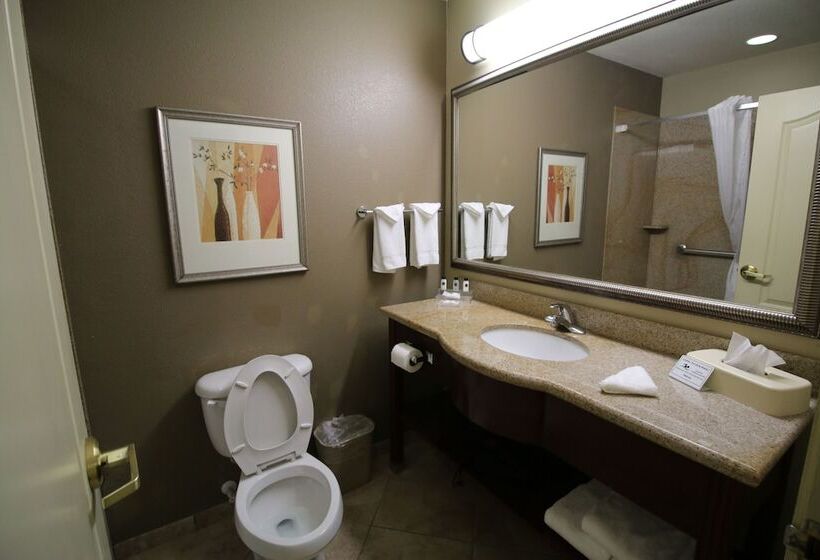 Номер Стандарт, Seffner Inn And Suites