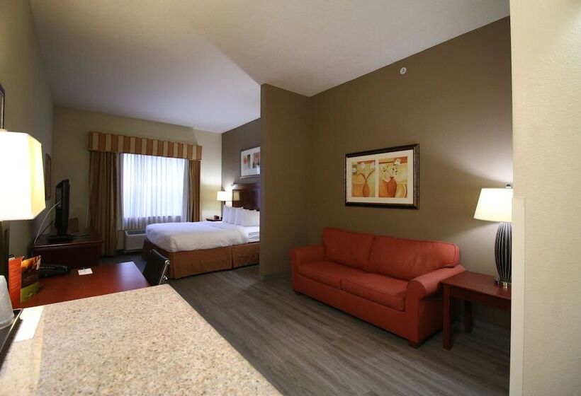 Люкс Адаптированный для Инвалидов, Seffner Inn And Suites