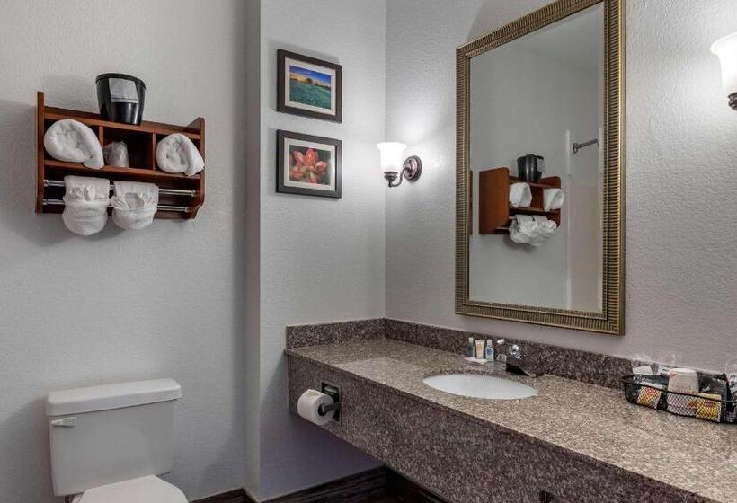 Стандартный Номер Кровать Кинг, Comfort Inn & Suites Gatesville Near Fort Cavazos