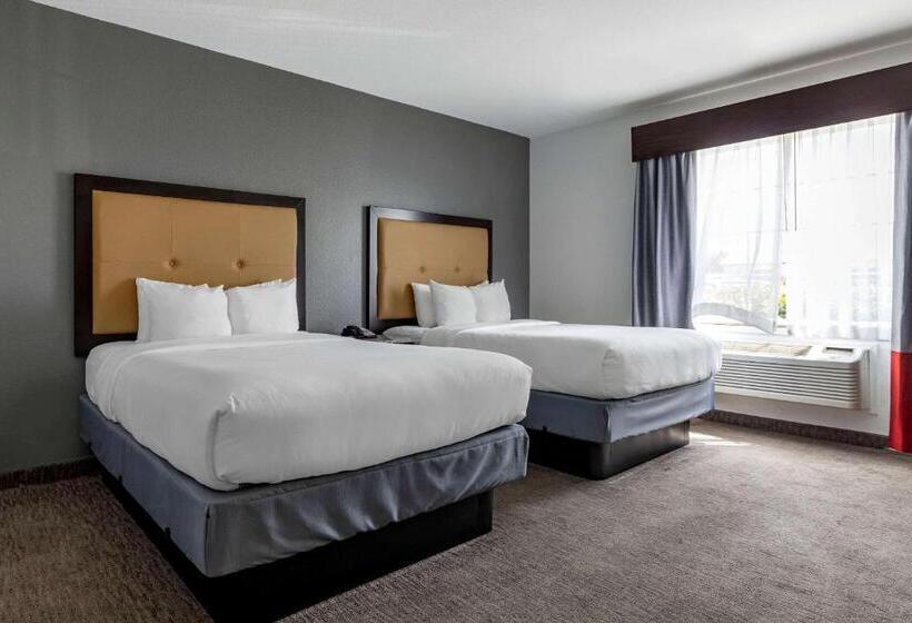 Номер Стандарт 2 Двуспальные Кровати, Comfort Inn & Suites Gatesville Near Fort Cavazos