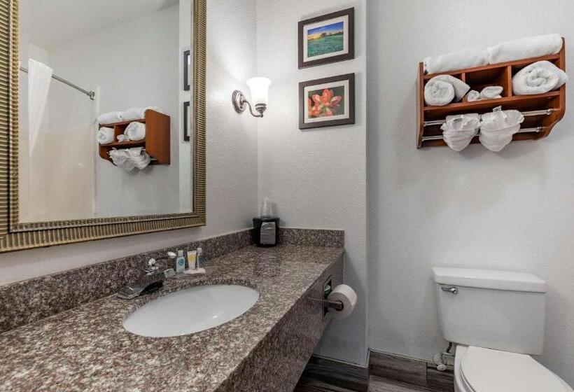 Люкс Кровать Кинг, Comfort Inn & Suites Gatesville Near Fort Cavazos