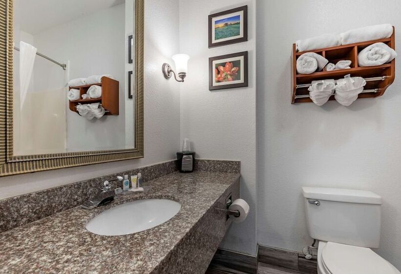 Люкс, Comfort Inn & Suites Gatesville Near Fort Cavazos