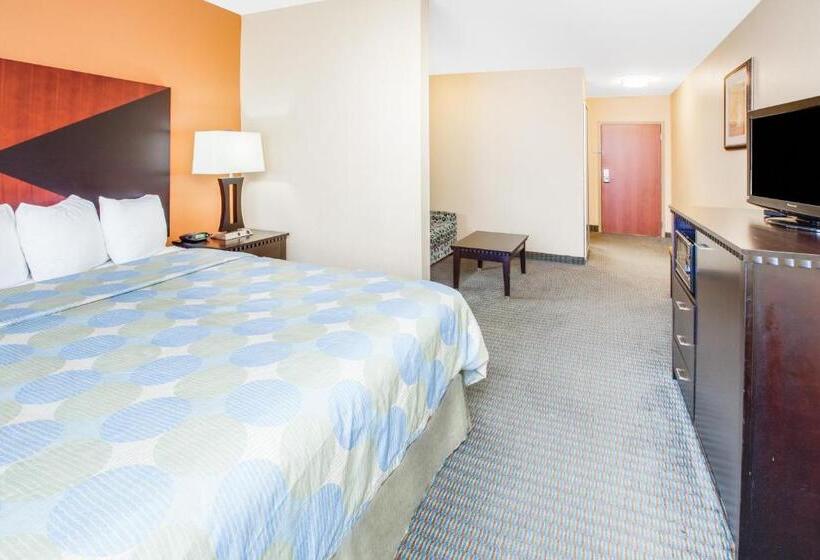 디럭스 스위트 킹 침대, Days Inn & Suites By Wyndham Russellville