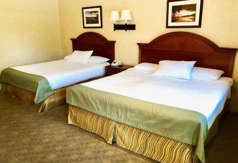 Номер Deluxe с Балконом, Lyn Aire Motel