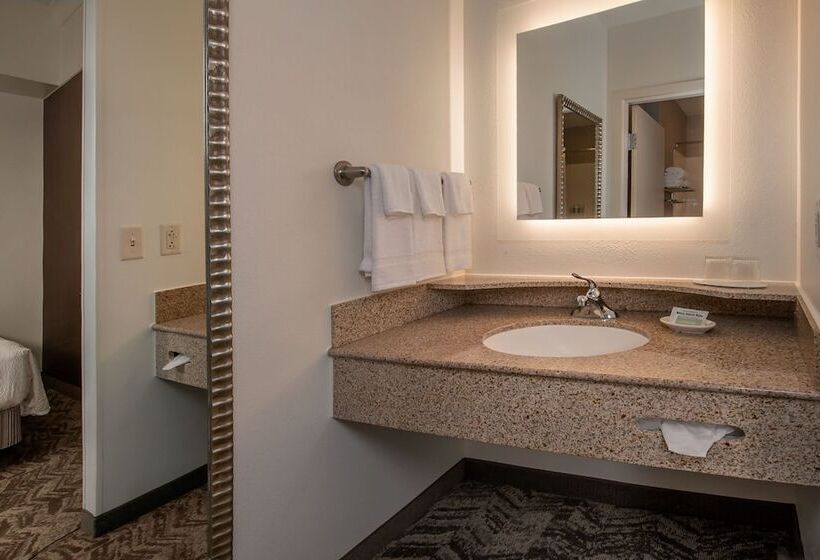 Люкс, Springhill Suites Hagerstown