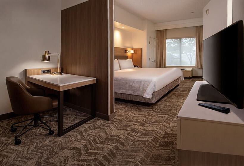 Люкс, Springhill Suites Hagerstown
