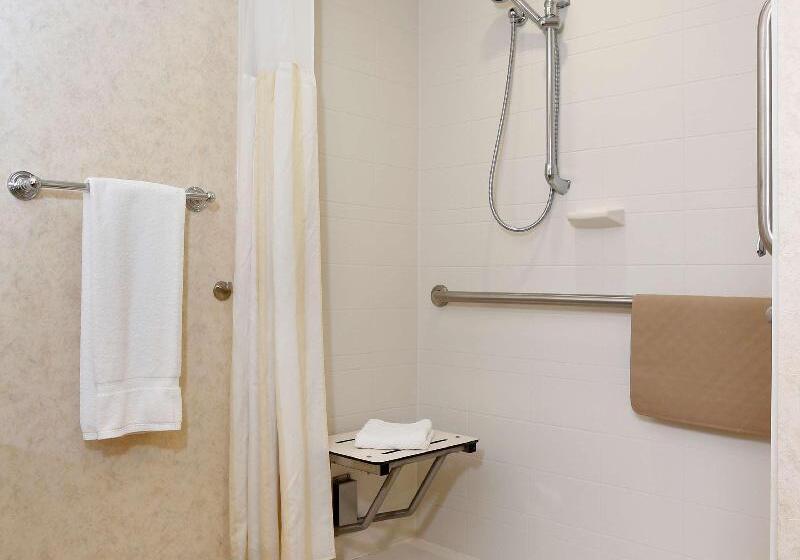 스탠다드 룸 킹사이즈 침대, Hilton Garden Inn Cedar Falls