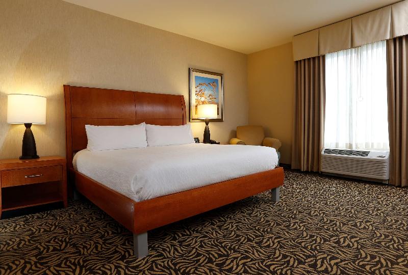 스탠다드 룸 킹사이즈 침대, Hilton Garden Inn Cedar Falls