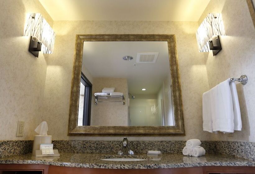 스위트 킹사이즈 침대, Hilton Garden Inn Cedar Falls