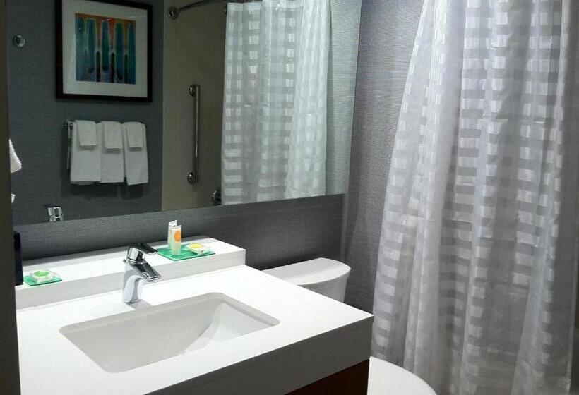 Номер Стандарт Верхний Этаж, Hyatt Place Detroit/novi