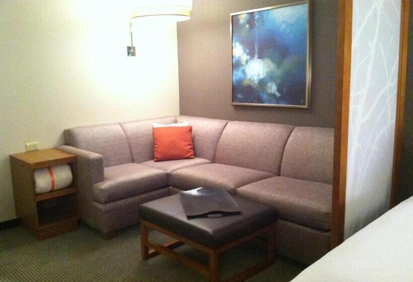 חדר סטנדרט בקומת סופריור, Hyatt Place Detroit/novi