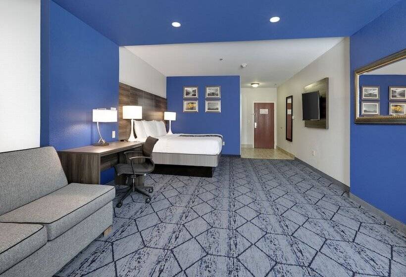 Студио Executive, La Quinta By Wyndham Denton   University Drive