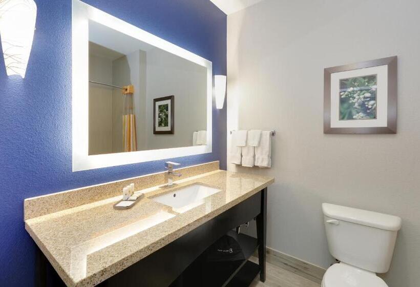 Стандартный Номер Кровать Кинг, La Quinta By Wyndham Denton   University Drive