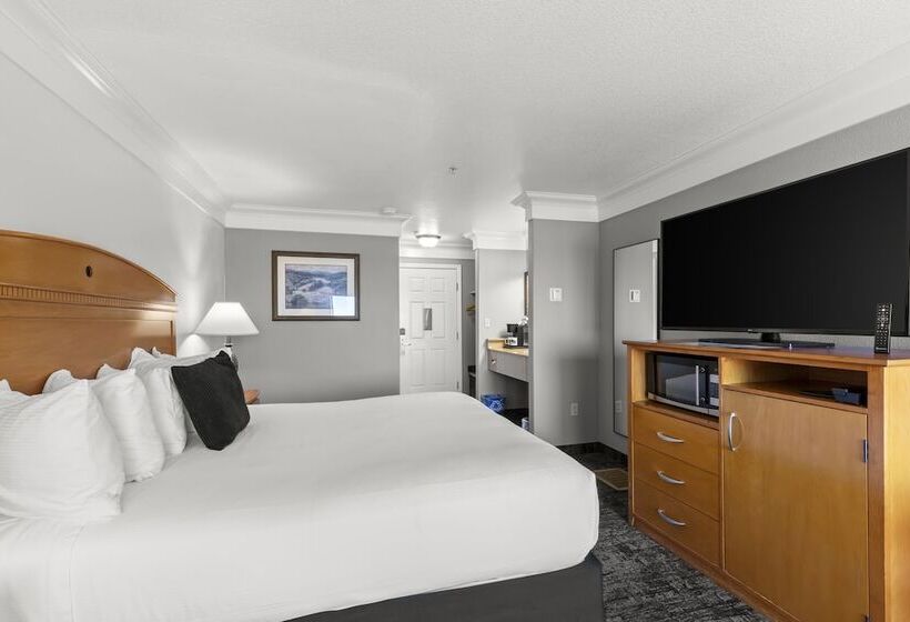 Стандартный Номер Кровать Кинг, Beachcomber Motel