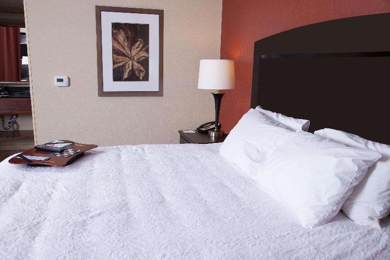 Студио Стандарт Кровать Кинг, Hampton Inn & Suites Dickinson
