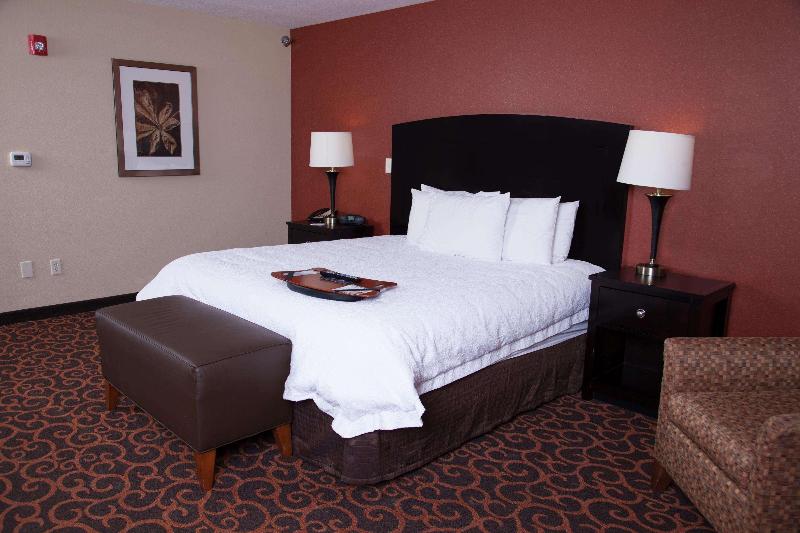 Студио Стандарт Кровать Кинг, Hampton Inn & Suites Dickinson
