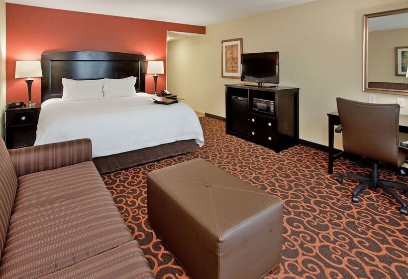 Студио Стандарт Кровать Кинг, Hampton Inn & Suites Dickinson