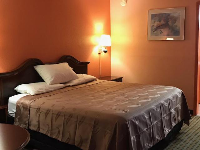 キングサイズベッドのスタンダードルーム, College Inn Spartanburg