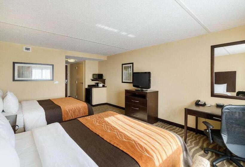 Номер Стандарт, Comfort Inn & Suites