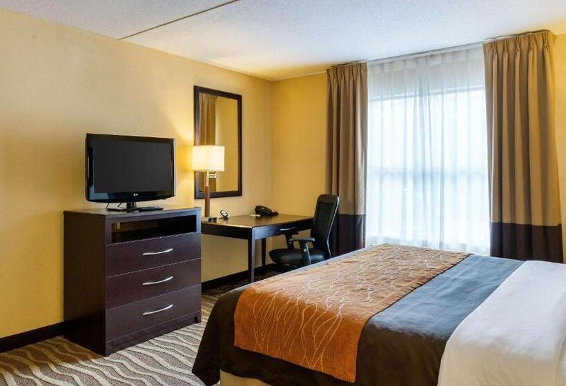 Люкс Кровать Кинг, Comfort Inn & Suites