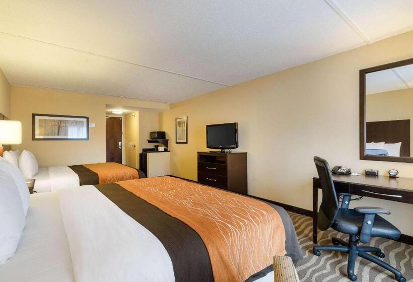 Номер Стандарт, Comfort Inn & Suites