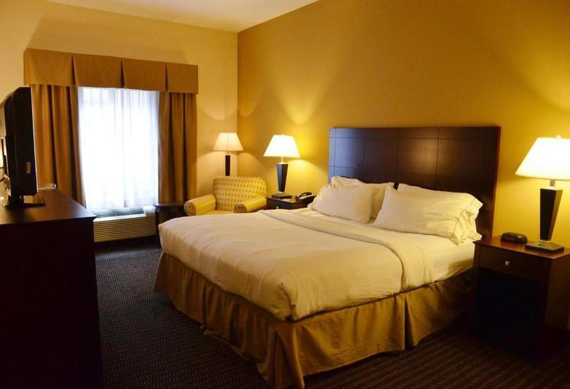 Номер Стандарт Кровать Кинг Адаптированный для Инвалидов, Holiday Inn Express & Suites Sidney, An Ihg