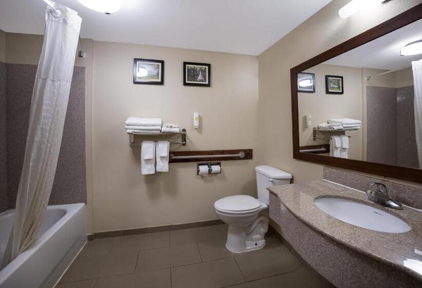 Номер Стандарт Адаптированный для Инвалидов, Comfort Inn & Suites Midway   Tallahassee West