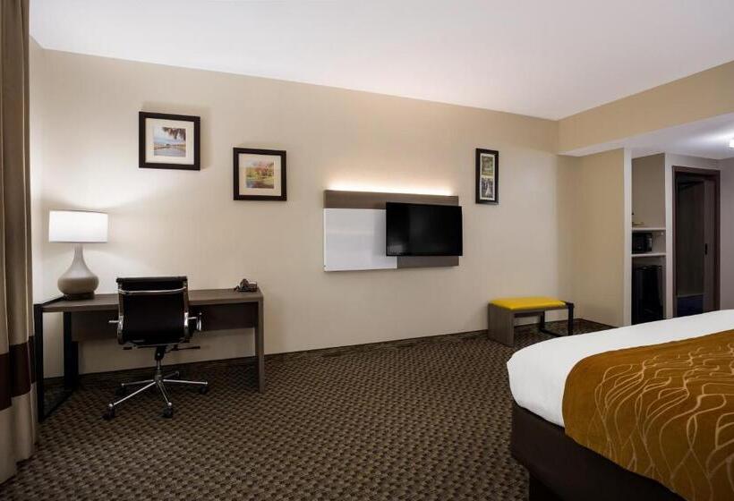 Стандартный Номер Кровать Кинг, Comfort Inn & Suites Midway   Tallahassee West