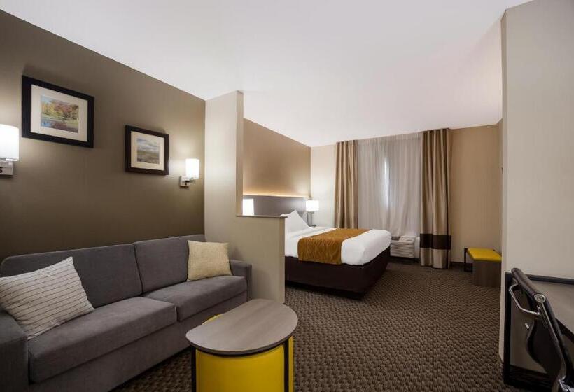Люкс Кровать Кинг, Comfort Inn & Suites Midway   Tallahassee West