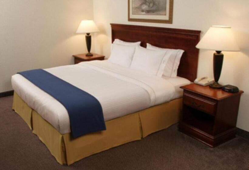 스탠다드 룸 킹사이즈 침대, Holiday Inn Express Natchez South West, An Ihg