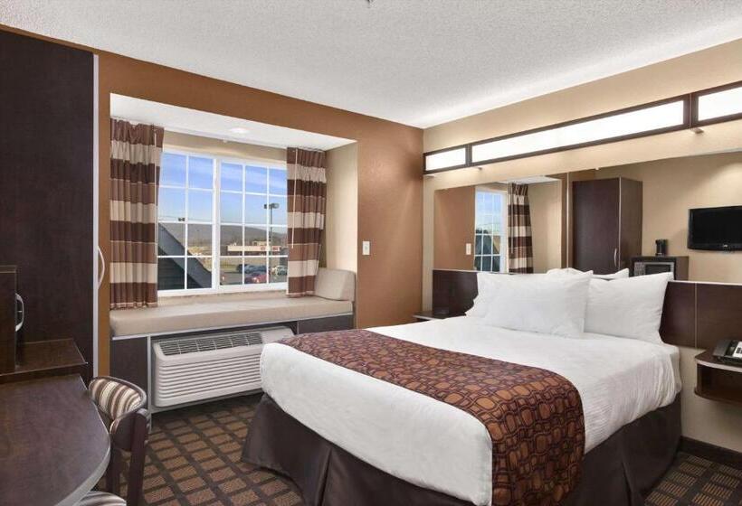 장애인을 위한 스탠다드 룸, Microtel Inn & Suites Sayre, Pa