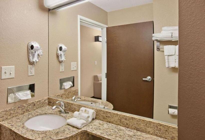 스탠다드 스튜디오, Microtel Inn & Suites Sayre, Pa